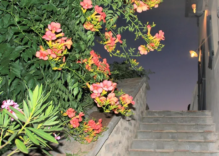 La Maison De Louise Nyaraló Colombiès